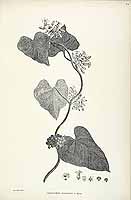  no thumbnail available