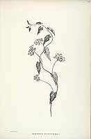  no thumbnail available