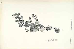  no thumbnail available