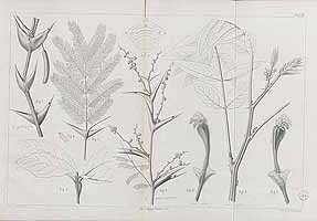  no thumbnail available