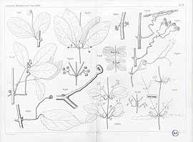  no thumbnail available