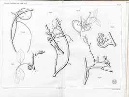  no thumbnail available