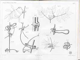  no thumbnail available