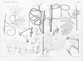  no thumbnail available