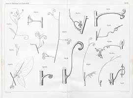  no thumbnail available