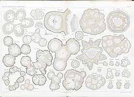  no thumbnail available