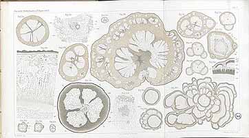  no thumbnail available