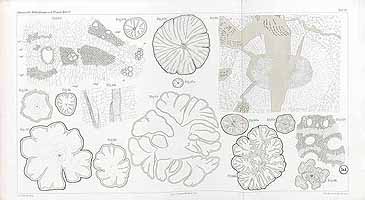  no thumbnail available