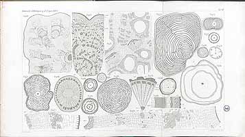  no thumbnail available