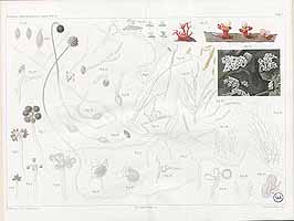  no thumbnail available