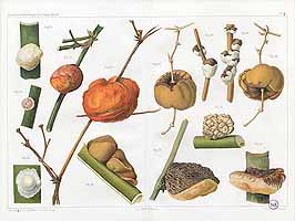  no thumbnail available