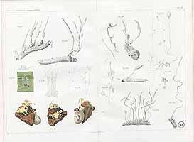  no thumbnail available