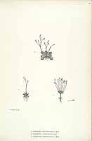  no thumbnail available