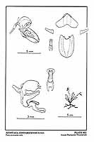  no thumbnail available