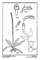  no thumbnail available