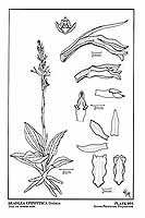  no thumbnail available