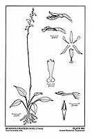  no thumbnail available