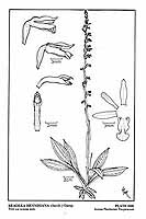  no thumbnail available