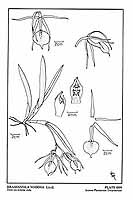  no thumbnail available