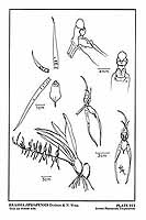  no thumbnail available