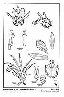  no thumbnail available