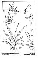  no thumbnail available