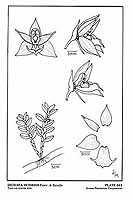  no thumbnail available