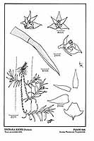  no thumbnail available