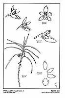  no thumbnail available