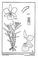  no thumbnail available