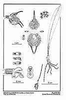  no thumbnail available