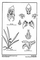  no thumbnail available