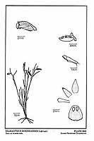  no thumbnail available