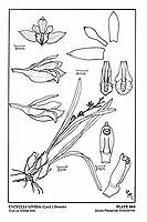  no thumbnail available