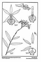  no thumbnail available