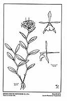  no thumbnail available