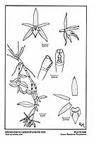  no thumbnail available