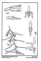  no thumbnail available