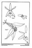  no thumbnail available