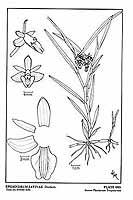  no thumbnail available