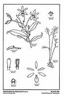  no thumbnail available