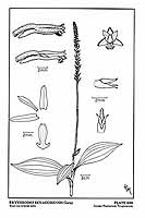  no thumbnail available