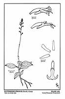  no thumbnail available