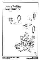  no thumbnail available