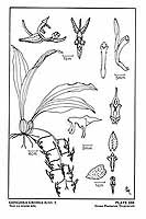  no thumbnail available