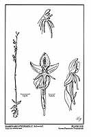  no thumbnail available