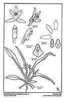  no thumbnail available