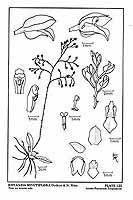  no thumbnail available