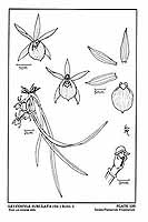  no thumbnail available