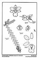  no thumbnail available